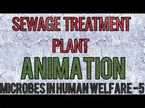 Sewage Waste Water Treatment Plant ANIMATION SIMPLIFIED For NEET And AIIMS Water