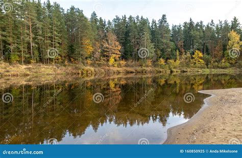 Lake View Beautiful Colorful Trees Reflections In The Water Stock