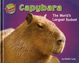 Worlds Largest Rodent Pictures