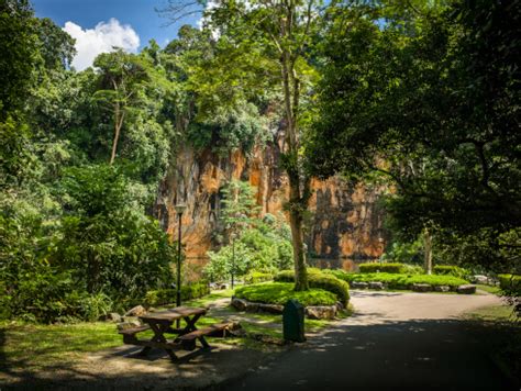 Najděte stock snímky na téma path bukit batok nature park singapore v hd a miliony dalších stock fotografií, ilustrací a vektorů bez autorských poplatků ve sbírce shutterstock. 5 Easy Walking Trails To Get Closer To Nature