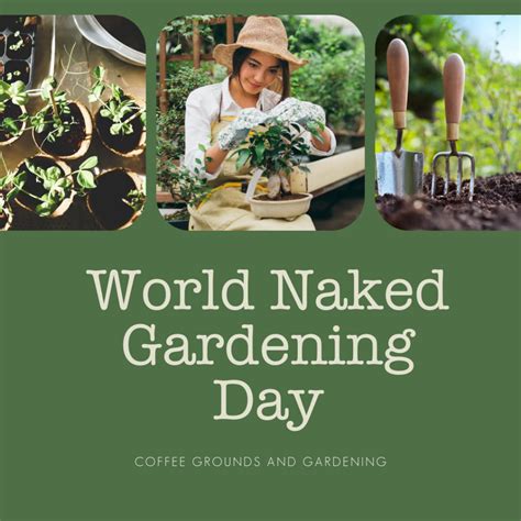 Coffee Grounds And Gardening Celebrate World Naked Gardening Day With