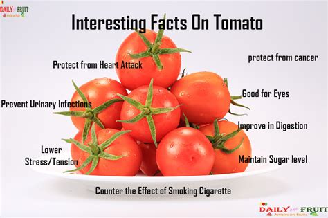 Interesting Facts On Tomato