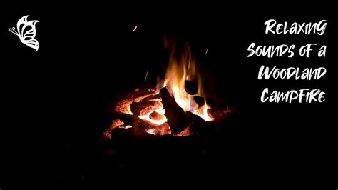 🌲relaxing Sounds Of A Woodland Campfire 2 Hours Crackling Fire