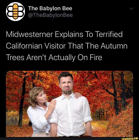 The Babylon Bee Thebabylonbee Midwesterner Explains To Terrified