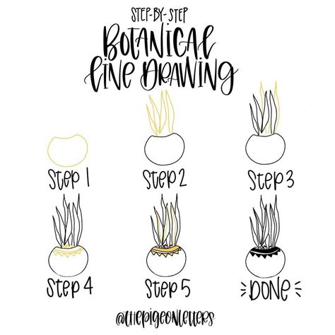 Which you use is a matter of choice. step-by-step tutorial - snake plant | 1,379 Likes, 27 ...