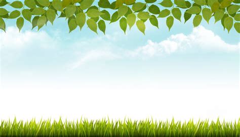 Nature Spring Background With Grass Spring Background Background