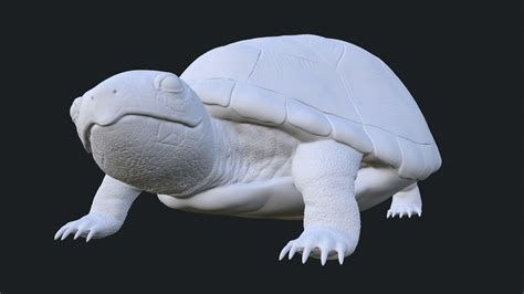 Realistic Turtle Toy 3d Print Model Cgtrader