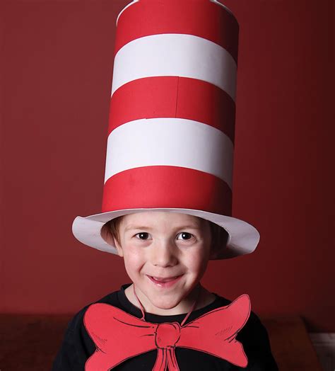 How To Make A Cat In The Hat Costume The Ultimate Guide Book