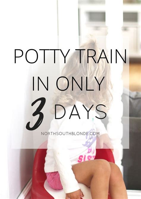 How To Potty Train In Three Days And Potty Training Must Haves Potty