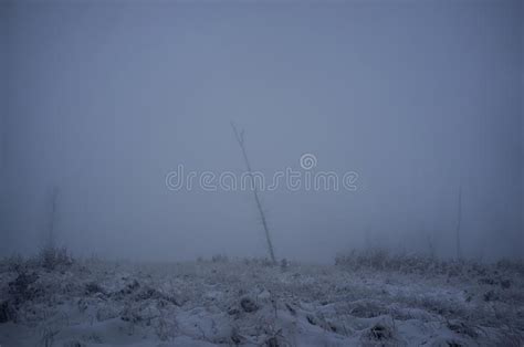 Snowy Road In Little Carpathian Mountains In Cold Winter Morning Stock