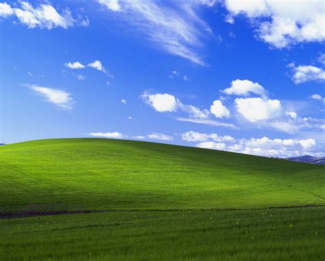 Windows Xp Bliss Background