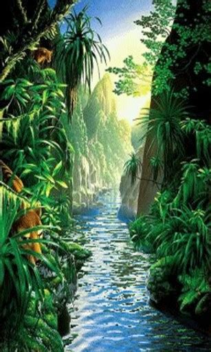 Download Bigger Rainforest Live Wallpaper For Android Screenshot By