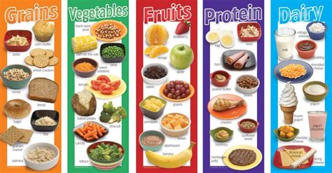 Food Groups Poster Set Grains Vegetables Fruits Protein Dairy