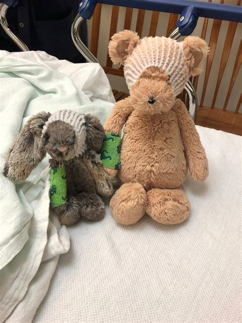Nurses Are The Best Wrapped Up My 4 Year Old Sons Stuffed Animals