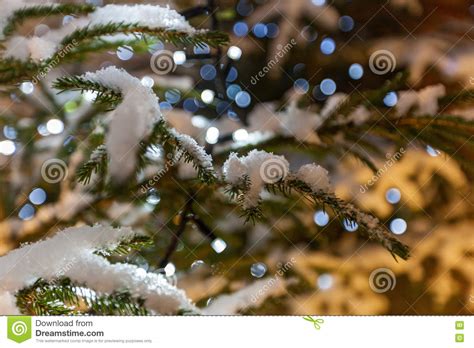 Close Up Of Christmas Tree Stock Image Image Of Colorful Macro