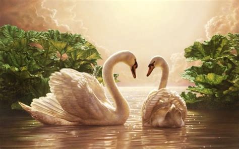 Pin By Gigi Blackwell On Needlework Patterns Swan Painting Swan