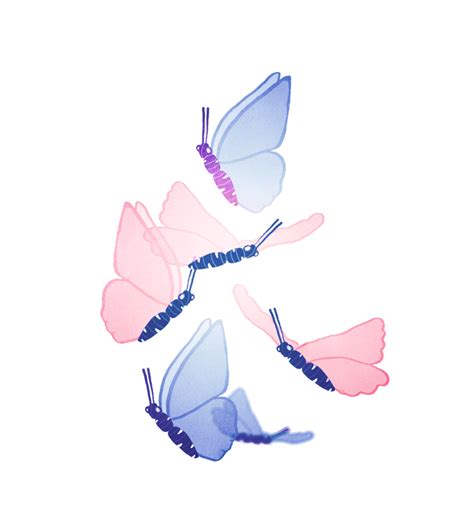 Butterfly Animation Beauty  On Er By Hugilis