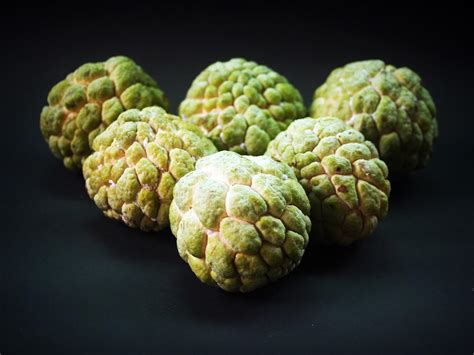 Read on to learn about growing cherimoya fruit, cherimoya plant care, and other interesting cherimoya tree info. Growing Custard Apple in Containers (Sitaphal) | Gardening ...