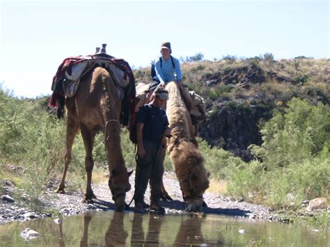 This is us chronicles the pearson family across the decades: Texas Mountain Trail Daily Photo: Be a Part of the Texas ...