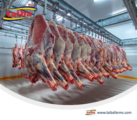 Meat Suppliers Near Me And Meat Suppliers Taiba Farms