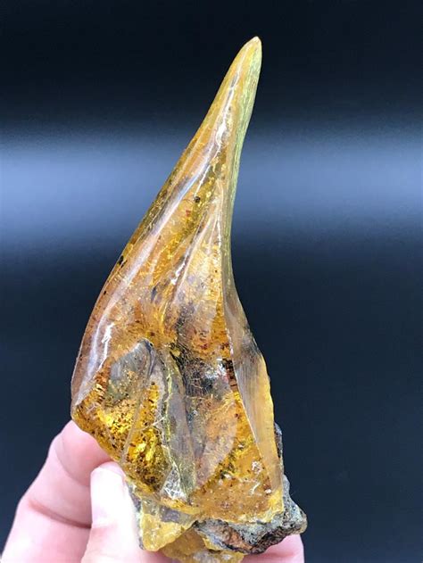 Sold Price Amber Fossil Natural Collectible Mineral Specimen