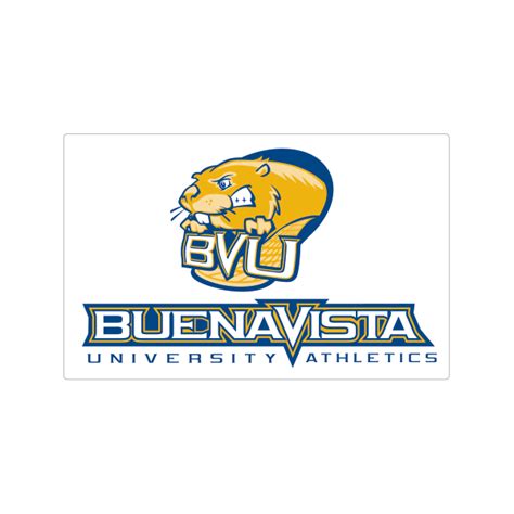 Printed Vinyl Buena Vista University Athletics Stickers Factory