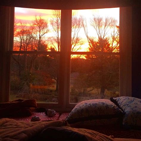 bedroom view nature bedroom view forest bedroom view mountain bedroom view aesthetic bedroom 