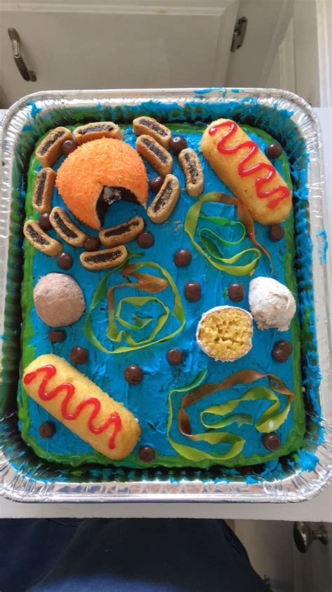 Edible Plant Cell Project Ideas Reformationrevival