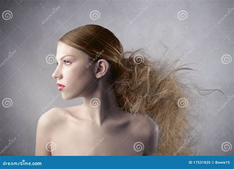 Hair Stock Image Image Of Nude Beauty Profile Combing