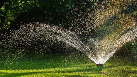 Lawn Watering Schedule Learn How Often To Water Your Grass