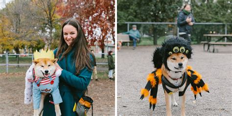 Montreals Dog Halloween Costume Contest Is Back And Heres How To Sign