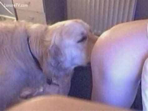 Dog Licking Act Went To Some Fucking Session Xxx Femefun