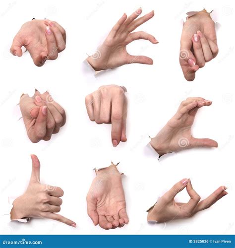 Gestures Of Hands Stock Photo Image Of Body Gestures 3825036