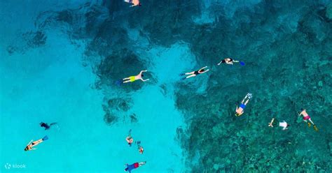 Snorkeling Manta Point In Nusa Penida Bali Klook Stati Uniti