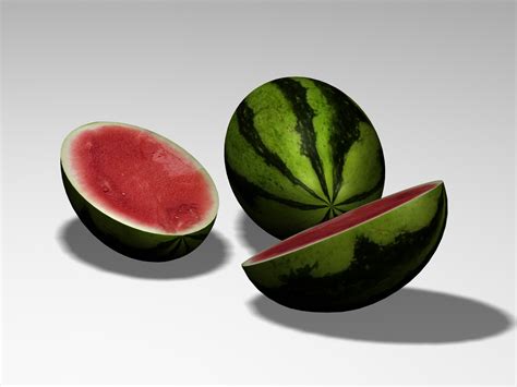 Watermelon 3d Model Max