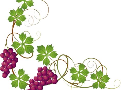 Vineyard Clipart Grape Leave Grapes On Vine Clipart Transparent