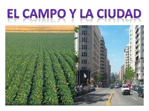 Diferencias Entre El Campo Y La Ciudad Primaria Esta Diferencia