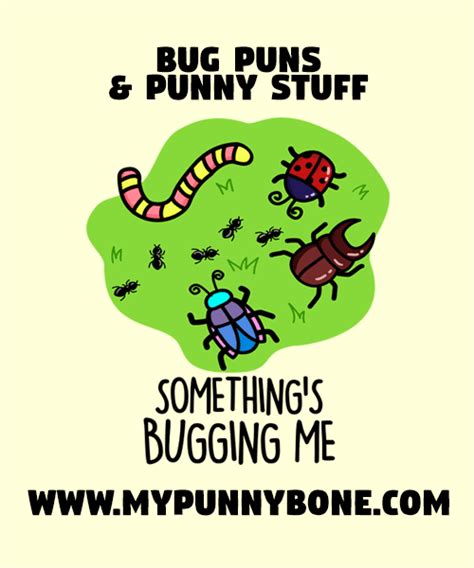 50 Bug Puns And Jokes That Are Pretty Fly Mypunnybone