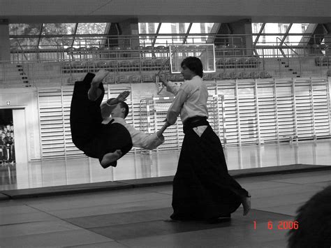 Martial Arts Aikido By Foralion On Deviantart