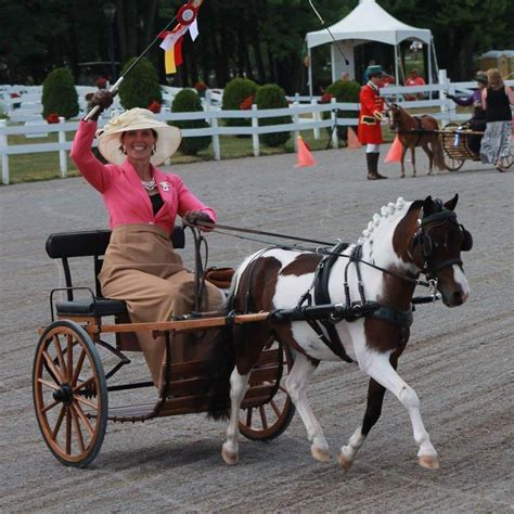 Pin By Cathy Washbush On Horses Carriage Driving Attire Miniature
