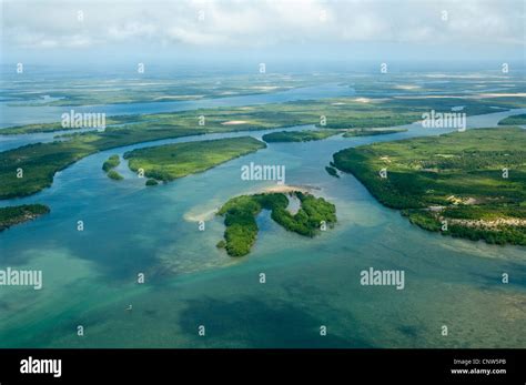 Rufiji River Delta Aerial View Lindi Region Tanzania Stock Photo