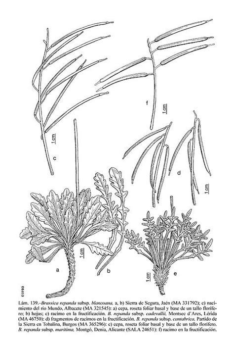 Up to 623,989 coloring pages for free download. Iberian Peninsula coloring, Download Iberian Peninsula ...