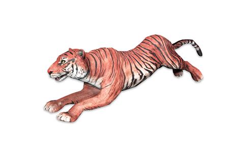 Caspian Tiger Animallica Wiki Fandom