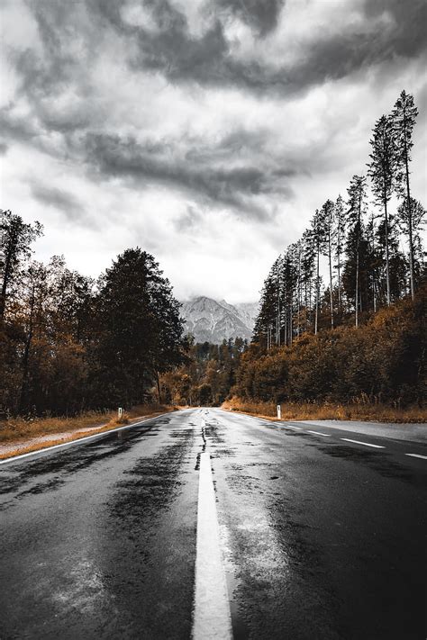 Road Asphalt Wet Forest Mountains Hd Phone Wallpaper Peakpx