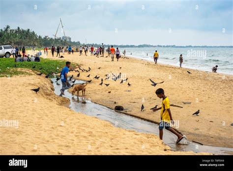 Sri Lanka Western Province Negombo Negombo Beach Stock Photo Alamy