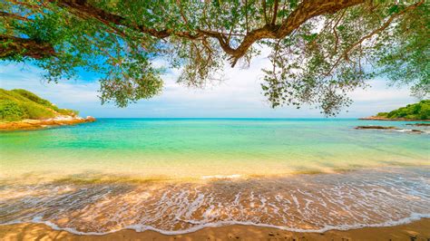 Sandy Beach Lagoon Tropical Landscape Shore Tropics 4k Hd Wallpapers