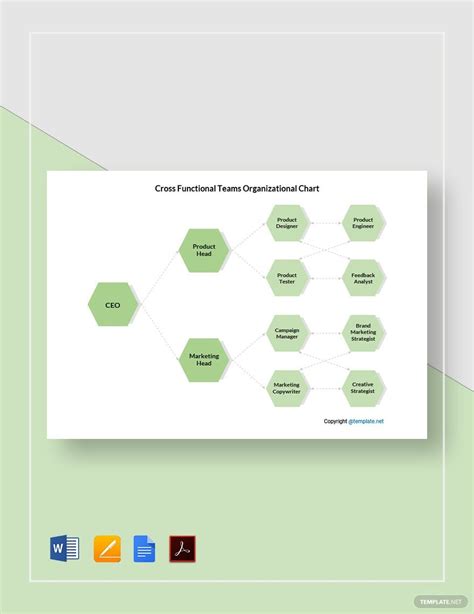 Cross Functional Organizational Chart Templates Free Download