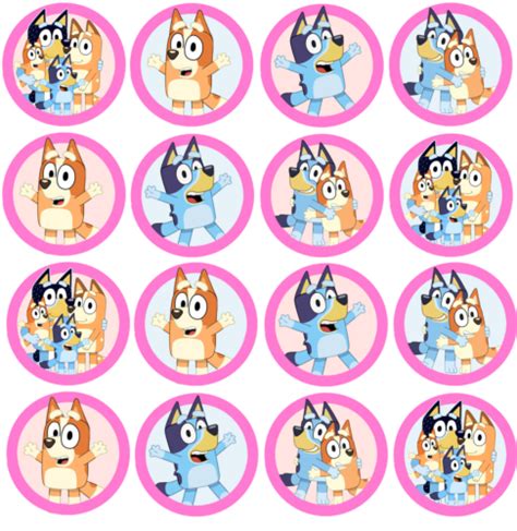 16x Edible Bluey Bingo Birthday Cookie Cupcake Toppers Wafer Paper 4cm