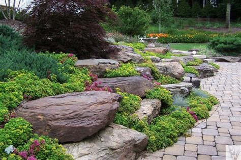 Stone Outcropping Sedum Groundcover And Brick Pavers Installed By