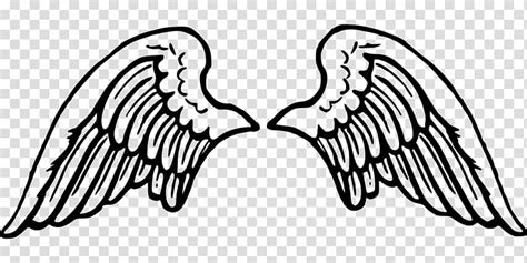 Choose from 1300+ angel wings graphic resources and download in the form of png, eps, ai or psd. Drawing , Wings cartoon transparent background PNG clipart ...